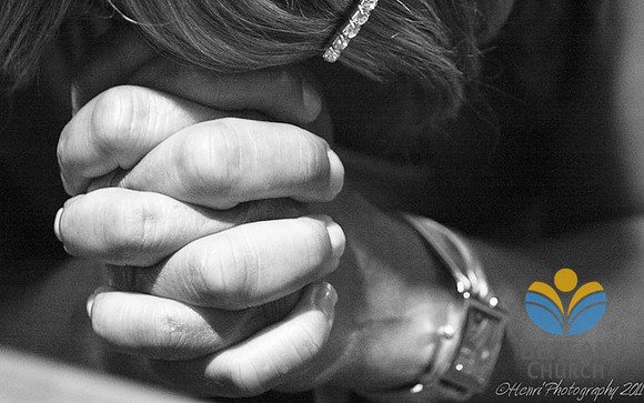 IMG_2986