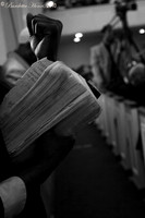 _MG_6774