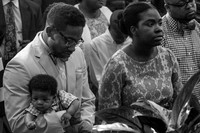 BLACK & WHITE David Stewart, Jr. (2014-2016)
