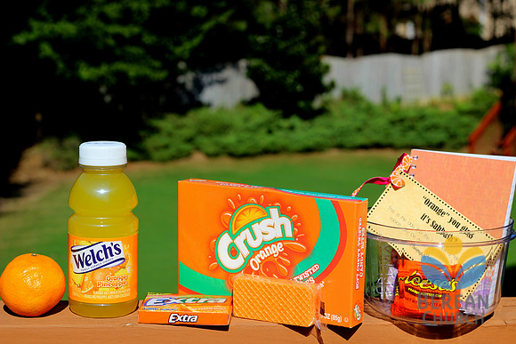 07-25-2015 Treat bags during Lunch N Learn
