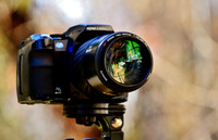 Inactive Photographers-photos